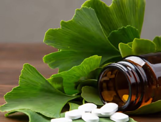 GINKGO BILOBA